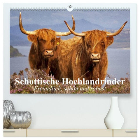 Schottische Hochlandrinder. Freundlich, schön und robust (hochwertiger Premium Wandkalender 2027 DIN A2 quer), Kunstdruck in Hochglanz