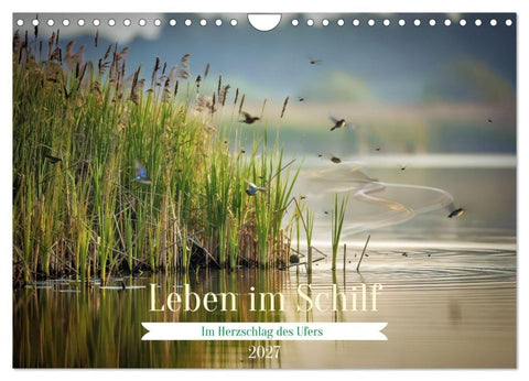 Leben im Schilf (Wandkalender 2027 DIN A4 quer), CALVENDO Monatskalender