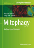 Mitophagy