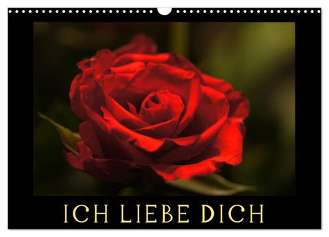 Ich liebe Dich (Wandkalender 2026 DIN A3 quer), CALVENDO Monatskalender