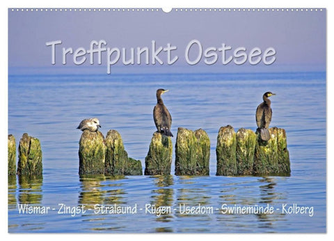 Treffpunkt Ostsee (Wandkalender 2027 DIN A2 quer), CALVENDO Monatskalender