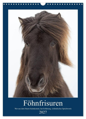 Föhnfrisuren (Wandkalender 2027 DIN A3 hoch), CALVENDO Monatskalender