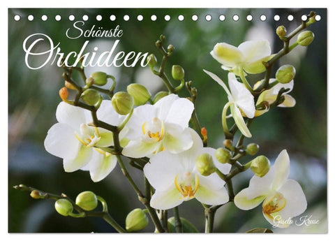 Schönste Orchideen (Tischkalender 2027 DIN A5 quer), CALVENDO Monatskalender