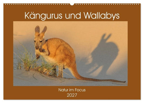 Kängururs und Wallabys (Wandkalender 2027 DIN A2 quer), CALVENDO Monatskalender
