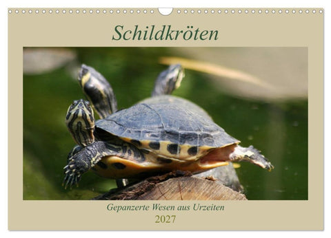 Schildkröten - Gepanzerte Wesen aus Urzeiten (Wandkalender 2027 DIN A3 quer), CALVENDO Monatskalender
