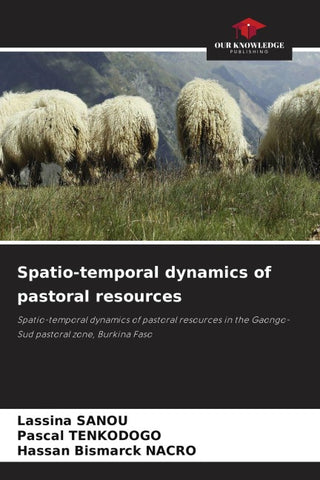 Spatio-temporal dynamics of pastoral resources