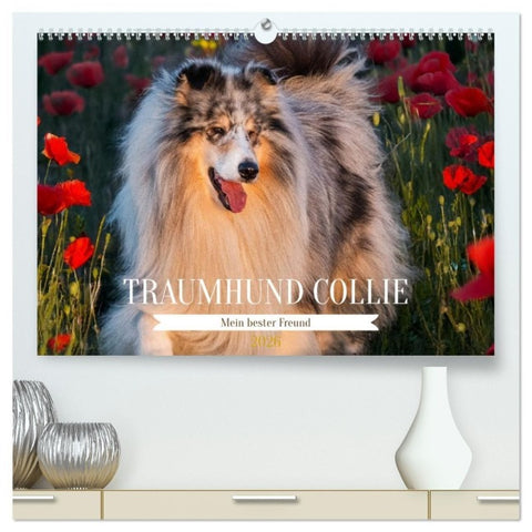 Traumhund Collie - Mein bester Freund (hochwertiger Premium Wandkalender 2026 DIN A2 quer), Kunstdruck in Hochglanz