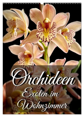 Orchideen - Exoten im Wohnzimmer (Wandkalender 2027 DIN A2 hoch), CALVENDO Monatskalender