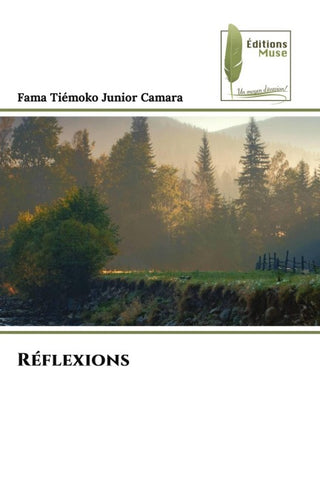 Réflexions