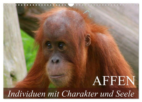 Affen - Individuen mit Charakter und Seele (Wandkalender 2026 DIN A3 quer), CALVENDO Monatskalender