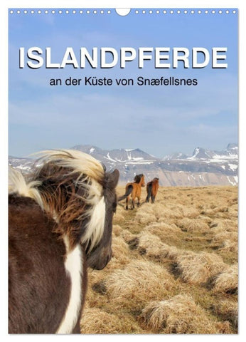 ISLANDPFERDE an der Küste von Snæfellsnes (Wandkalender 2027 DIN A3 hoch), CALVENDO Monatskalender