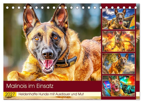 Malinois im Einsatz. Heldenhafte Hunde mit Ausdauer und Mut (Tischkalender 2027 DIN A5 quer), CALVENDO Monatskalender