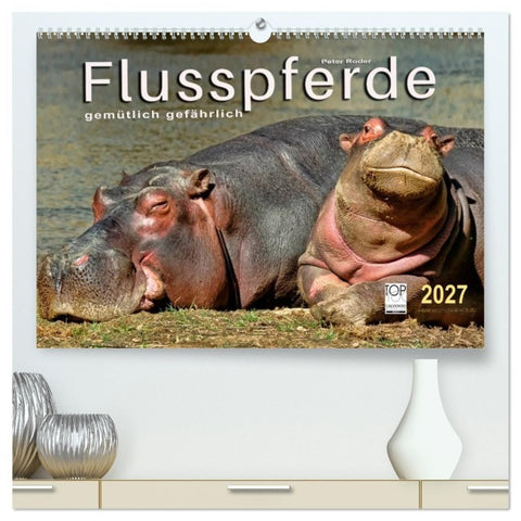 Flusspferde - gemütlich gefährlich (hochwertiger Premium Wandkalender 2027 DIN A2 quer), Kunstdruck in Hochglanz