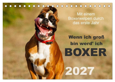 Wenn ich groß bin werd' ich Boxer (Tischkalender 2027 DIN A5 quer), CALVENDO Monatskalender