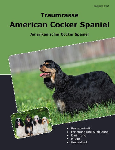 Traumrasse American Cocker Spaniel