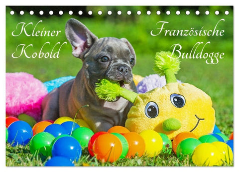 Kleiner Kobold Französische Bulldogge (Tischkalender 2027 DIN A5 quer), CALVENDO Monatskalender
