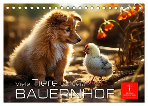 Viele Tiere auf dem Bauernhof (Tischkalender 2026 DIN A5 quer), CALVENDO Monatskalender