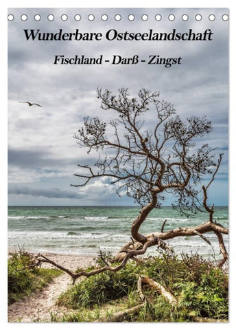 Wunderbare Ostseelandschaft Fischland-Darß-Zingst (Tischkalender 2027 DIN A5 hoch), CALVENDO Monatskalender