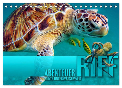 Abenteuer Riff - bunte Unterwasserwelt (Tischkalender 2026 DIN A5 quer), CALVENDO Monatskalender