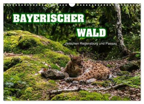 Bayerischer Wald (Wandkalender 2026 DIN A3 quer), CALVENDO Monatskalender