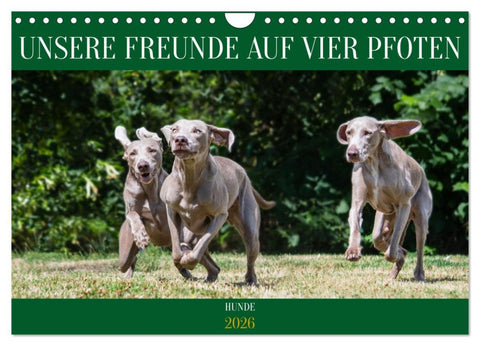 Unsere Freunde auf vier Pfoten - Hunde (Wandkalender 2026 DIN A4 quer), CALVENDO Monatskalender