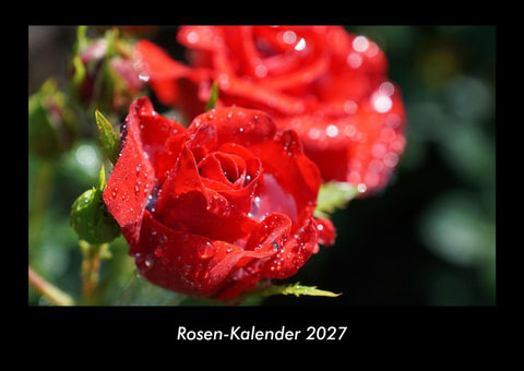 Rosen-Kalender 2027 Fotokalender DIN A3