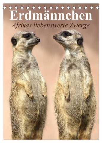 Erdmännchen - Afrikas liebenswerte Zwerge (Tischkalender 2026 DIN A5 hoch), CALVENDO Monatskalender