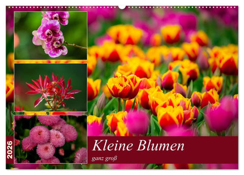 Kleine Blumen ganz groß (Wandkalender 2026 DIN A2 quer), CALVENDO Monatskalender