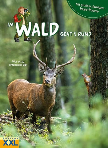 Im Wald geht's rund – mit großem, farbigem Poster