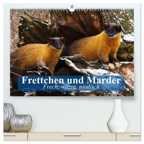 Frettchen und Marder. Frech, witzig, niedlich (hochwertiger Premium Wandkalender 2027 DIN A2 quer), Kunstdruck in Hochglanz