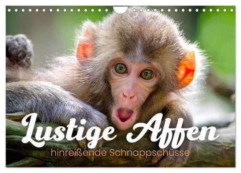 Lustige Affen - hinreißende Schnappschüsse (Wandkalender 2027 DIN A4 quer), CALVENDO Monatskalender