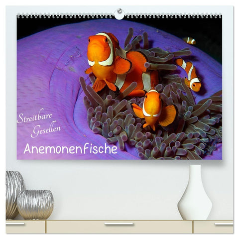 Anemonenfische - Streitbare Gesellen (hochwertiger Premium Wandkalender 2027 DIN A2 quer), Kunstdruck in Hochglanz
