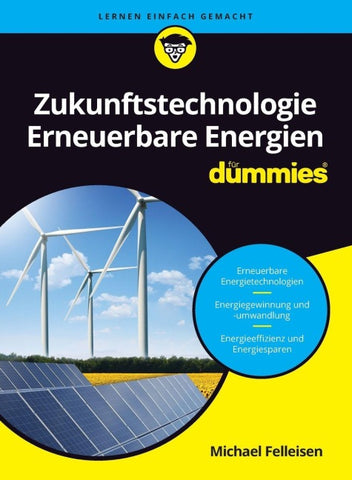 Zukunftstechnologie Erneuerbare Energien für Dummies