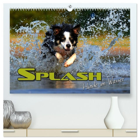 SPLASH - Hunde im Wasser (hochwertiger Premium Wandkalender 2026 DIN A2 quer), Kunstdruck in Hochglanz