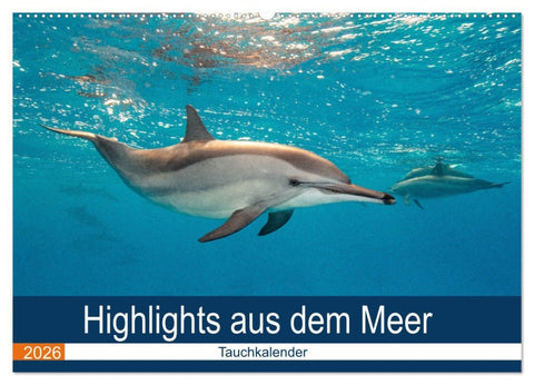 Highlights aus dem Meer - Tauchkalender (Wandkalender 2026 DIN A2 quer), CALVENDO Monatskalender