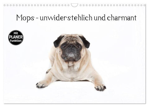 Mops - unwiderstehlich und charmant (Wandkalender 2026 DIN A3 quer), CALVENDO Monatskalender