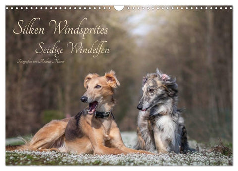 Silken Windsprites - Seidige Windelfen (Wandkalender 2027 DIN A3 quer), CALVENDO Monatskalender