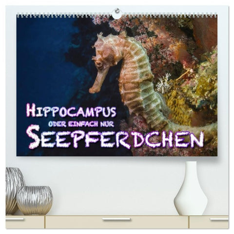 Hippocampus oder einfach nur Seepferdchen (hochwertiger Premium Wandkalender 2027 DIN A2 quer), Kunstdruck in Hochglanz