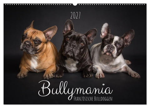 Bullymania - Französische Bulldoggen (Wandkalender 2027 DIN A2 quer), CALVENDO Monatskalender