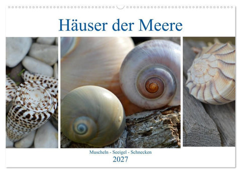 Häuser der Meere: Muscheln - Seeigel - Schnecken (Wandkalender 2027 DIN A2 quer), CALVENDO Monatskalender