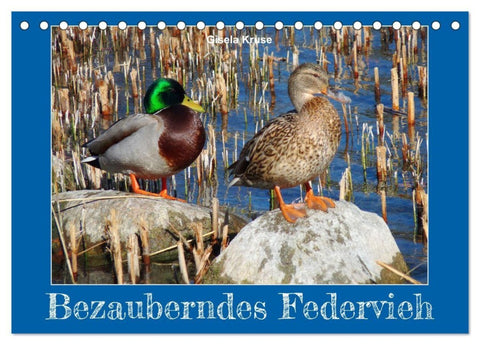 Bezauberndes Federvieh (Tischkalender 2027 DIN A5 quer), CALVENDO Monatskalender
