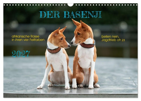 Der Basenji (Wandkalender 2027 DIN A3 quer), CALVENDO Monatskalender