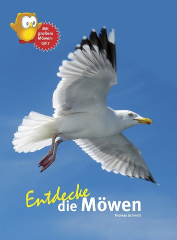 Entdecke die Möwen