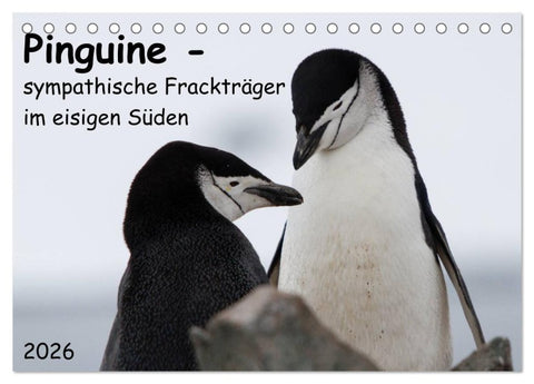 Pinguine - sympathische Frackträger im eisigen Süden (Tischkalender 2026 DIN A5 quer), CALVENDO Monatskalender