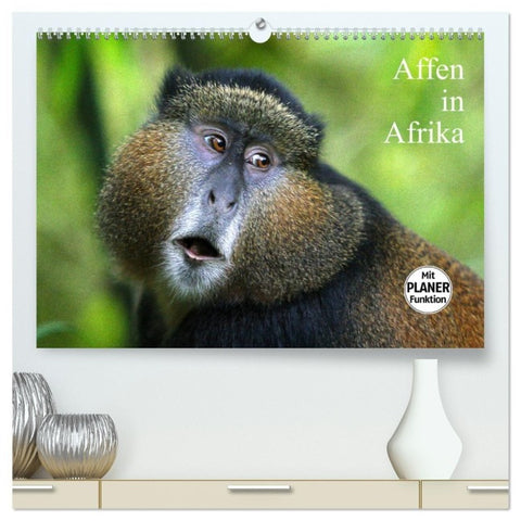 Affen in Afrika (hochwertiger Premium Wandkalender 2027 DIN A2 quer), Kunstdruck in Hochglanz