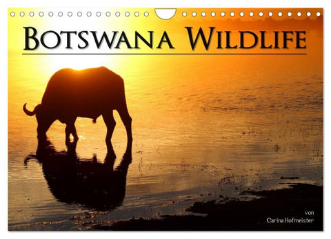 Botswana Wildlife (Wandkalender 2026 DIN A4 quer), CALVENDO Monatskalender