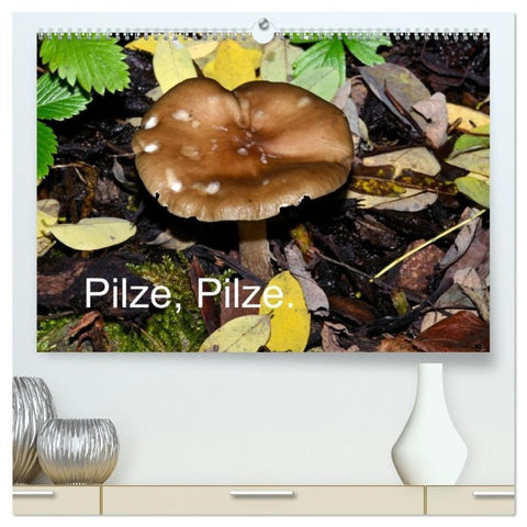 Pilze, Pilze (hochwertiger Premium Wandkalender 2027 DIN A2 quer), Kunstdruck in Hochglanz