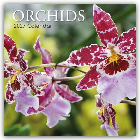 Orchids – Orchideen 2027 – 16-Monatskalender