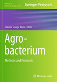 Agrobacterium