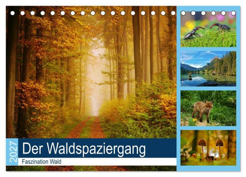 Der Waldspaziergang (Tischkalender 2027 DIN A5 quer), CALVENDO Monatskalender